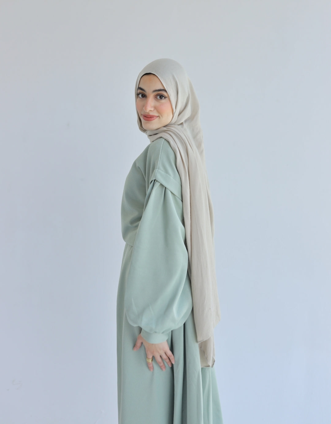 Winter Cookie Set in Mint