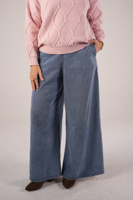 Denim Wide Leg Pants in Light Blue
