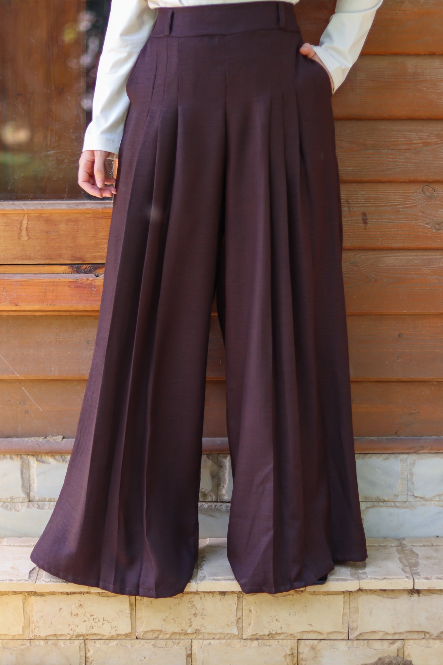 Terra Pleated Pants in Brown